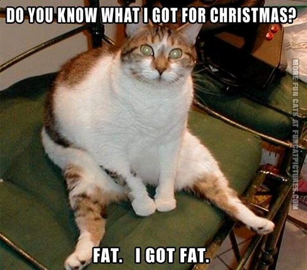 christmas fat