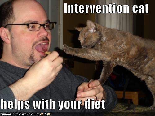 intervention cat
