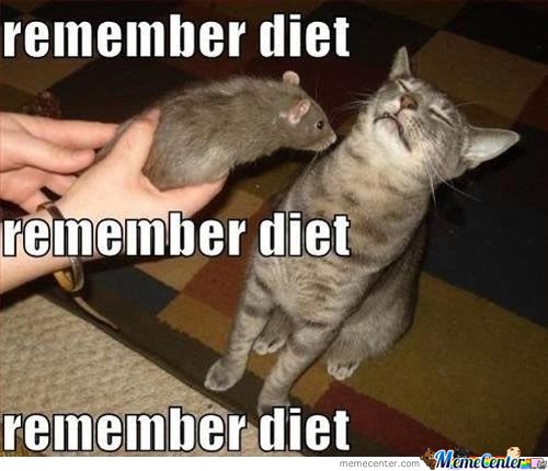 remember diet